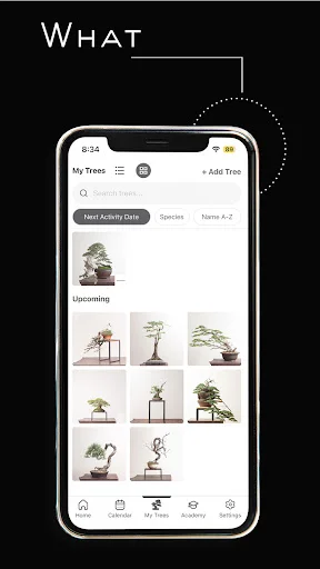Download Mirai Mobile Terbaru – Panduan Bonsai Profesional - Screenshot 3